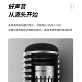 得胜（TAKSTAR）TA-68专业动圈麦克风 舞台演出唱歌人声话筒