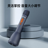 得胜（TAKSTAR）DA10S k歌麦克风音响一体手持麦克风无线小蜜蜂扩音器教师专用喇叭教学导游演讲咪 午夜蓝