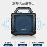 得胜（TAKSTAR）WDA-500 手持版无线户外蓝牙音箱 K歌大音量便携式演出广场舞音响大功率户外扩音器