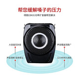 得胜（TAKSTAR） E8M小蜜蜂扩音器大功率教学专用导游促销大功率喊话喇叭 E8M黑色18W大功率