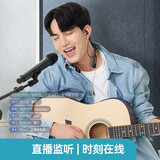 得胜 （TAKSTAR）WPM-500无线监听耳机立体声手机电脑声卡抖音直播网红主播带货唱歌快手户外团队直播蓝牙挂脖耳塞 得胜WPM-500单接收器