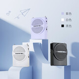 得胜（TAKSTAR） E126小蜜蜂扩音器教师专用腰挂老师教学大功率音箱德胜导游喇叭 E126黑色