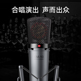 得胜（TAKSTAR）SM-10 大振膜电容麦克风  专业录音配音有线话筒