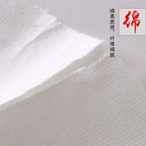 叁沃 四尺宣纸生宣半生熟熟宣纸书法国画作品熟宣初学者毛笔字练习用 四尺整张(熟宣)普通款