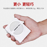 得胜（TAKSTAR） E126小蜜蜂扩音器教师专用腰挂老师教学大功率音箱德胜导游喇叭 E126黑色