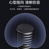 得胜（TAKSTAR）PCM-5600 专业电容麦克风  直播K歌舞台演出录音棚专业录音话筒