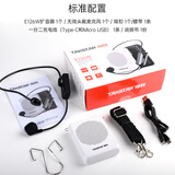 得胜（TAKSTAR）E126W便携式无线扩音器 户外蓝牙无线教师导游培训专用小蜜蜂无线扩音器 黑色