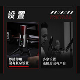 得胜（TAKSTAR）自由玩家声势ROAR 游戏开黑吃鸡USB电容麦克风 网课语音专业录音话筒