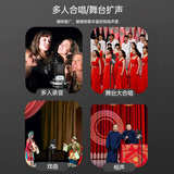 得胜（TAKSTAR）SM-18 PRO大振膜话筒 舞台大合唱多指向电容麦克风