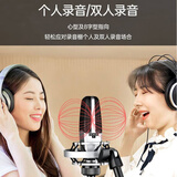 得胜（TAKSTAR）SM-18 PRO大振膜话筒 舞台大合唱多指向电容麦克风