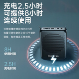 得胜（TAKSTAR）E126W便携式无线扩音器 户外蓝牙无线教师导游培训专用小蜜蜂无线扩音器 黑色