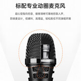 得胜（TAKSTAR） OP-8 弹唱音箱 户外音响演出直播设备无线蓝牙K歌唱歌吉他音箱便携式音响 简装版橙色