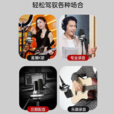 得胜（TAKSTAR）SM-18 PURE 大振膜专业录音麦克风 网络直播唱K歌录音话筒