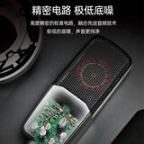 得胜（TAKSTAR）SM-18 PURE 大振膜专业录音麦克风 网络直播唱K歌录音话筒