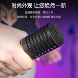 得胜（TAKSTAR）PCM-5600 专业电容麦克风  直播K歌舞台演出录音棚专业录音话筒