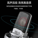 得胜（TAKSTAR）SM-18 PURE 大振膜专业录音麦克风 网络直播唱K歌录音话筒
