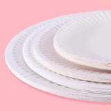 叁沃 创意涂鸦纸盘画画手工DIY制作材料幼儿园小朋友绘画一次性纸碟 7寸白纸盘