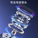 得胜（TAKSTAR）PCM-5600 专业电容麦克风  直播K歌舞台演出录音棚专业录音话筒