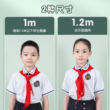 晨光生活文具小学生红领巾国标加厚涤纶红领巾标准耐变色透气速干批发六一礼物1米2/1条ASCN9523