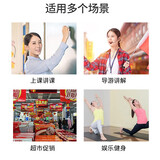 得胜（TAKSTAR） E126小蜜蜂扩音器教师专用腰挂老师教学大功率音箱德胜导游喇叭 E126黑色