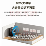 得胜 （TAKSTAR）小蜜蜂大功率头戴麦扩音器 教学导游户外促销专用腰挂耳麦无线蓝牙喊话喇叭音箱 E8W