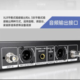 得胜（TAKSTAR） UC2R无线话筒一拖四会议麦克风鹅颈手持领夹主持家庭ktv话筒会议麦克风 UC-TH1(单鹅颈)