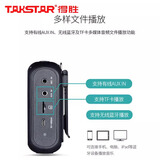 得胜（TAKSTAR） E270小蜜蜂扩音器教师专用上课无线蓝牙腰挂户外宣传喇叭扬声器旅游导游喊话器 E270黑色  12W大功率  10H续航
