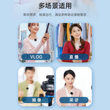 得胜（TAKSTAR） V1（二代）无线领夹麦克风小蜜蜂录音设备网课抖音短视频吃播单反采访降噪户外直播收音麦 V1屏显版一拖一 黑色