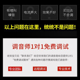 得胜（TAKSTAR）SM-18 PRO大振膜话筒 舞台大合唱多指向电容麦克风