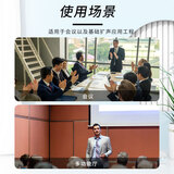 得胜 （TAKSTAR）专业音箱10吋300W全频音箱音响系统 会议/广播/娱乐/报告厅/多媒体厅音箱 EKL-101