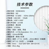 得胜 （TAKSTAR）专业音箱10吋300W全频音箱音响系统 会议/广播/娱乐/报告厅/多媒体厅音箱 EKL-101