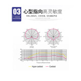 得胜（TAKSTAR）SGC-578采访麦克风 会议录音话筒 新闻DV摄像机单反机外接采访电容麦克风 黑色