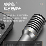 得胜（TAKSTAR）TA-68专业动圈麦克风 舞台演出唱歌人声话筒