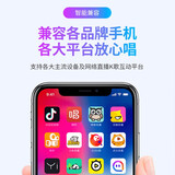 得胜（TAKSTAR）MX1 mini 便携式手机直播设备全套迷你声卡