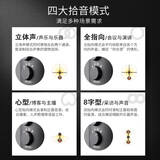 得胜（TAKSTAR）自由玩家声势ROAR 游戏开黑吃鸡USB电容麦克风 网课语音专业录音话筒