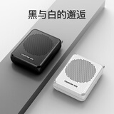 得胜（TAKSTAR）E126W便携式无线扩音器 户外蓝牙无线教师导游培训专用小蜜蜂无线扩音器 黑色