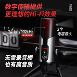 得胜（TAKSTAR）自由玩家声势ROAR 游戏开黑吃鸡USB电容麦克风 网课语音专业录音话筒