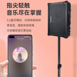 得胜（TAKSTAR） OP-8 弹唱音箱 户外音响演出直播设备无线蓝牙K歌唱歌吉他音箱便携式音响 简装版橙色