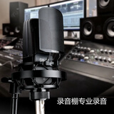 得胜（TAKSTAR）SM-18 大振膜电容麦克风 专业录音手机直播声卡设备套装