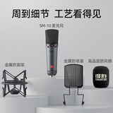 得胜（TAKSTAR）SM-10 大振膜电容麦克风  专业录音配音有线话筒