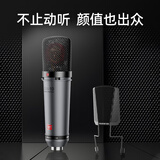 得胜（TAKSTAR）SM-10 大振膜电容麦克风  专业录音配音有线话筒