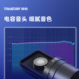 得胜（TAKSTAR）SM-8B二代 专业录音麦克风 电脑网红主播手机K歌录音专用麦克风