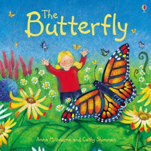 butterfly