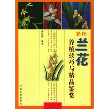蘭花