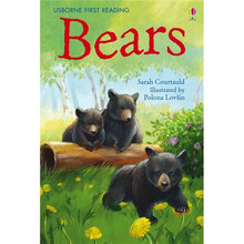 usborne英文原版