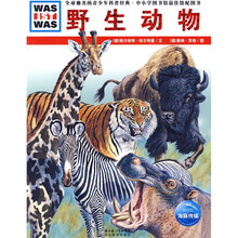 什么是什么