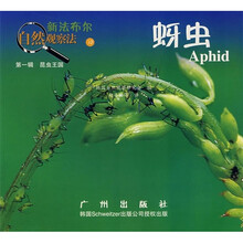 法布爾昆蟲