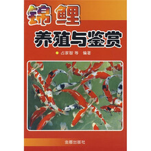 錦鯉養(yǎng)殖