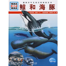 什么是什么
