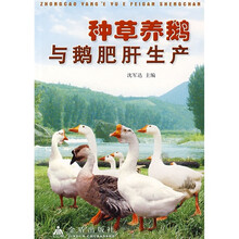 養(yǎng)鵝